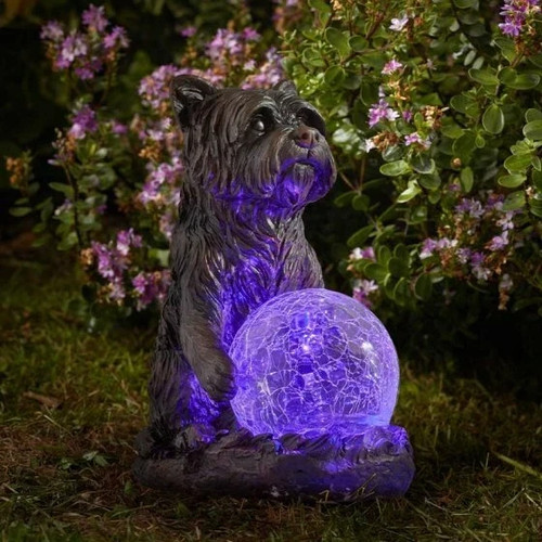 Mystic dog light - dog, garden