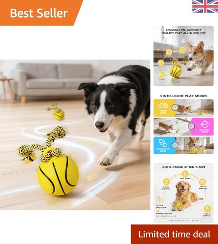 Smart auto moving dog - auto, ball