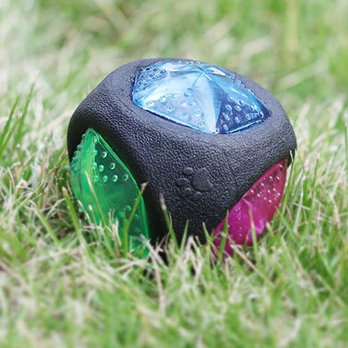 Light dog ball squeaky - up,