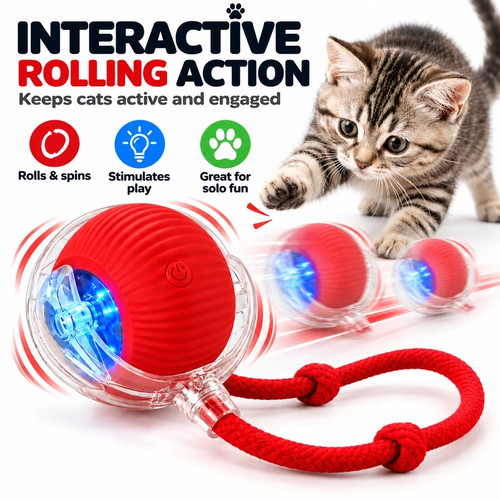 Automatic rolling cat ball - cat,