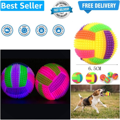 Pack light dog ball - 2, up