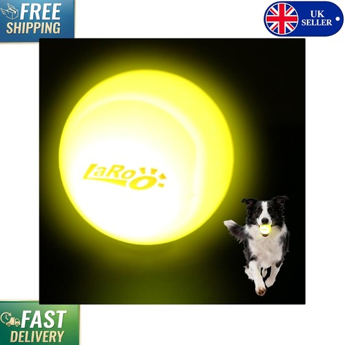 Rechargeable led dog ball - rechargeable,