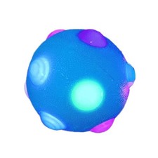 Pet Dog Light Up Bouncing Ball