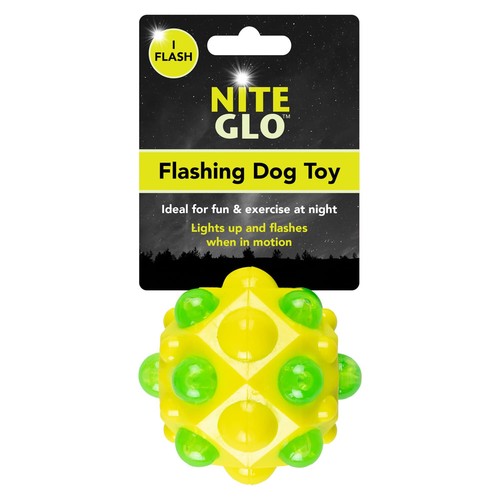 Nite glo flashing - glo, dog