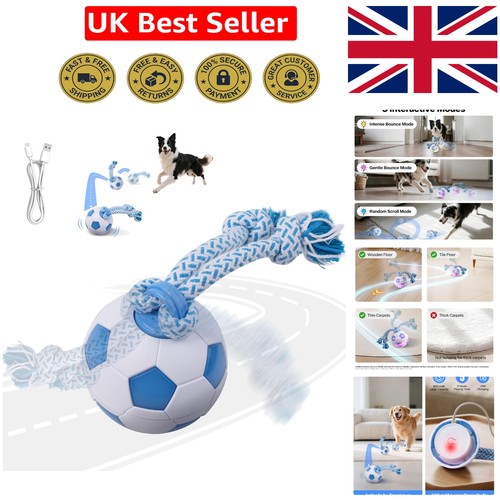 Interactive usb rechargeable - interactive,