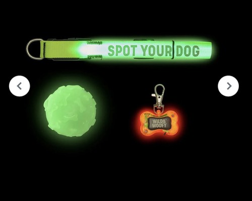 Glow the dark - dark, dog