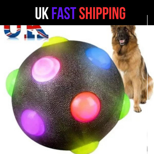 Pet dog light bouncing - pet,
