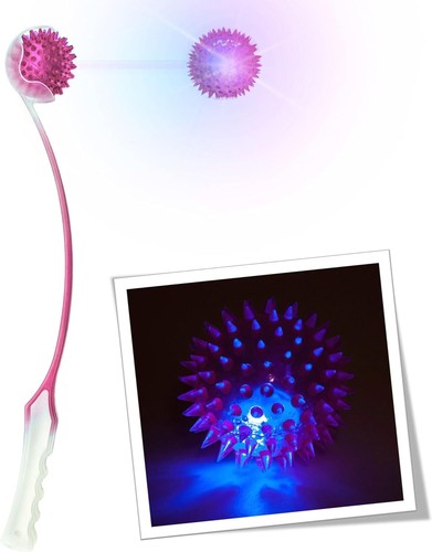 Dog ball light - ball, up