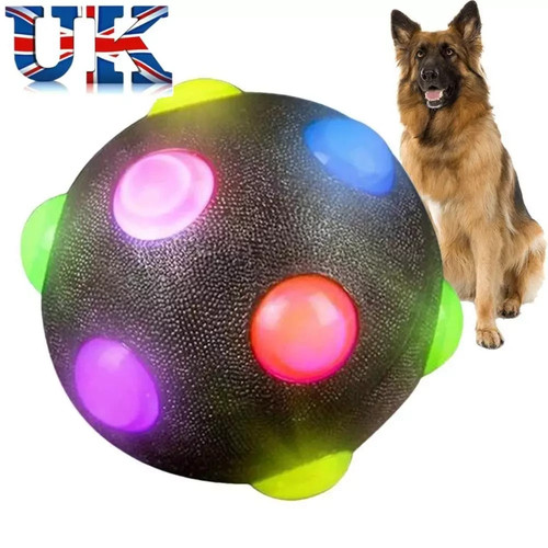 Pet dog light - pet,