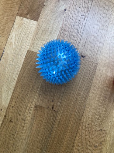 Light spiky dog ball - light, up