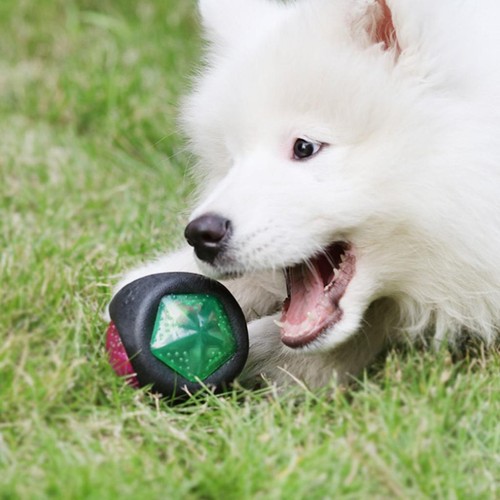 Light dog ball squeaky - light,