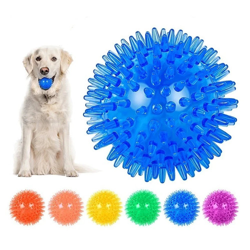Light flashing squeaky - up, dog