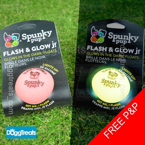 Glow the dark dog - the, toy