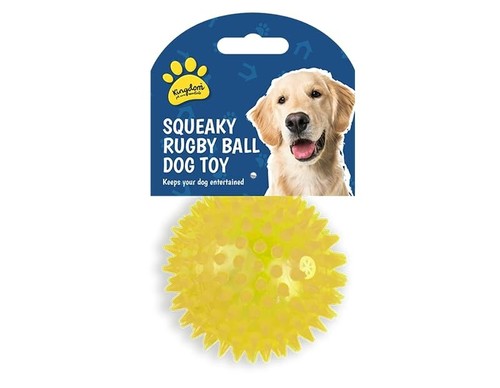Squeaky led light ball - up, dog